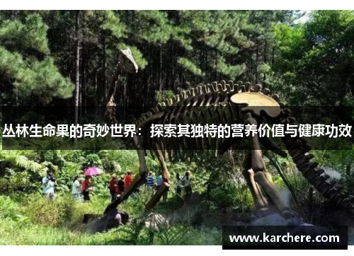 丛林生命果的奇妙世界：探索其独特的营养价值与健康功效