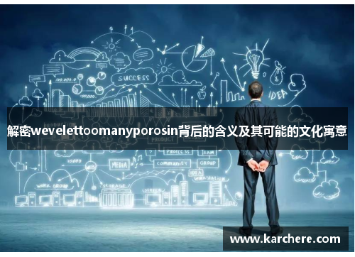 解密wevelettoomanyporosin背后的含义及其可能的文化寓意